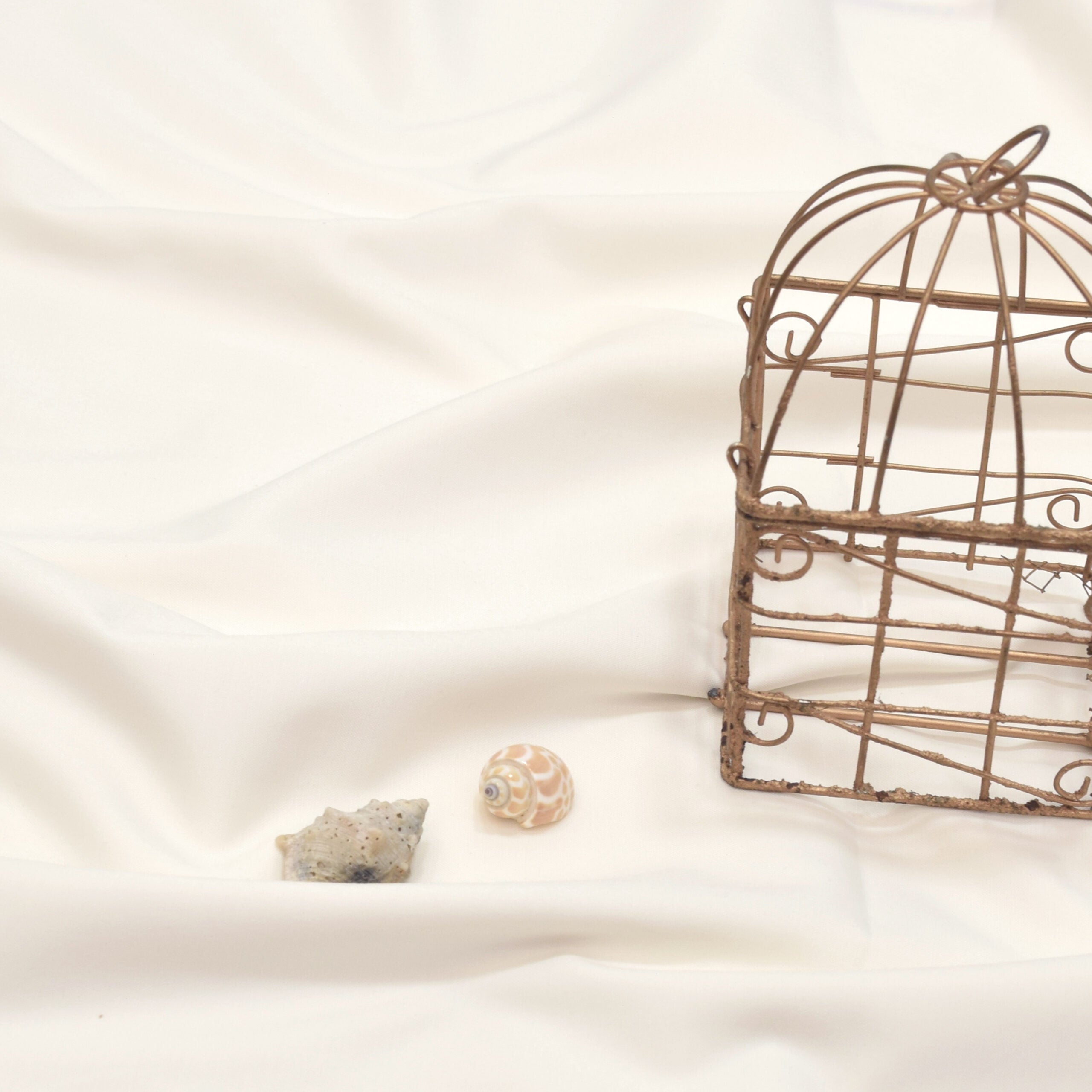 Japani Boski | Summer collection